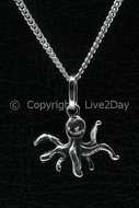 Octopus (5)