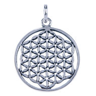 Flower of life (2)