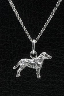 Zilveren Chesapeake bay retriever ketting hanger - klein