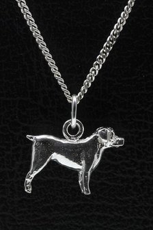 Zilveren Entlebucher sennenhond ketting hanger - groot
