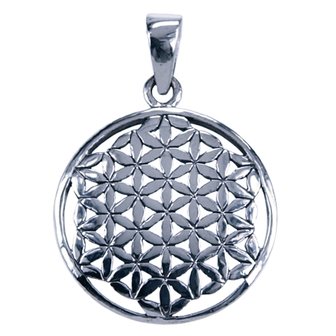 Zilveren Flower of life 27mm ketting hanger - 2