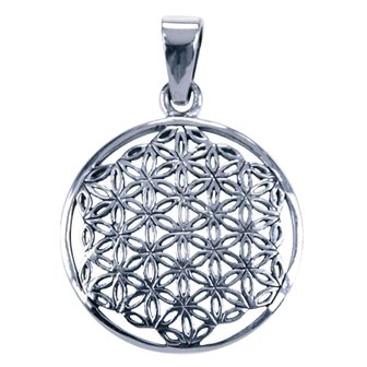 Zilveren Flower of life 27mm ketting hanger