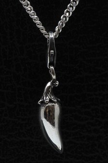 Zilveren Spaanse peper hanger &eacute;n bedel