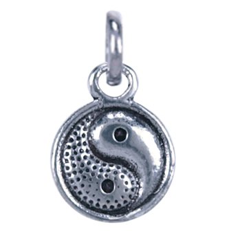 Zilveren Yin Yang klein ketting hanger