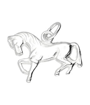 Zilveren Paard ketting hanger - vlak