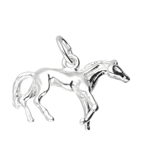 Zilveren Paard ketting hanger - prairie