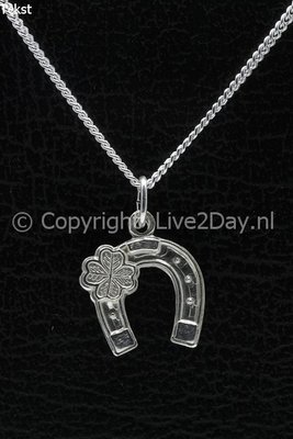 Zilveren Hoef rozet ketting hanger