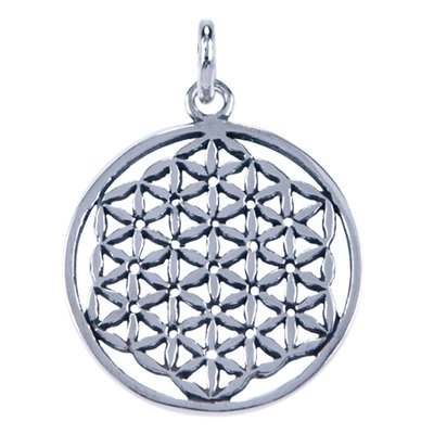 Zilveren Flower of life hanger