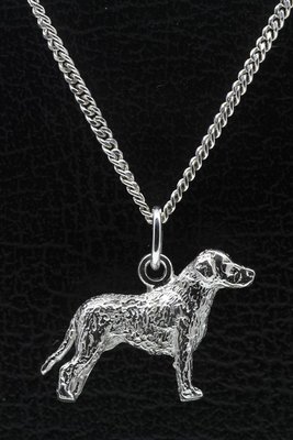 Zilveren Curly coated retriever ketting hanger - groot