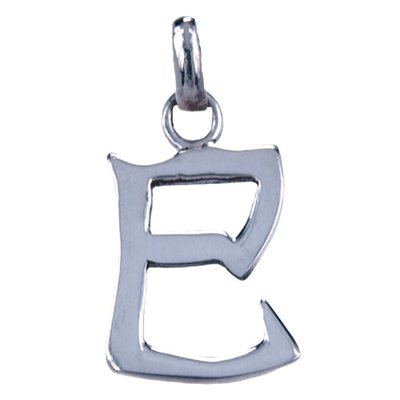 Zilveren Chinese horoscoop Slang - intelligent ketting hanger