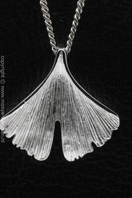 Zilveren Ginkgo blad ketting hanger