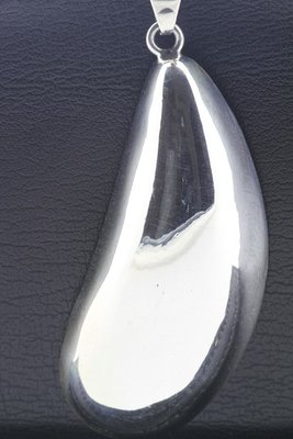 Zilveren Mossel abstract XL ketting hanger