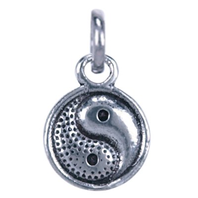 Zilveren Yin Yang klein ketting hanger